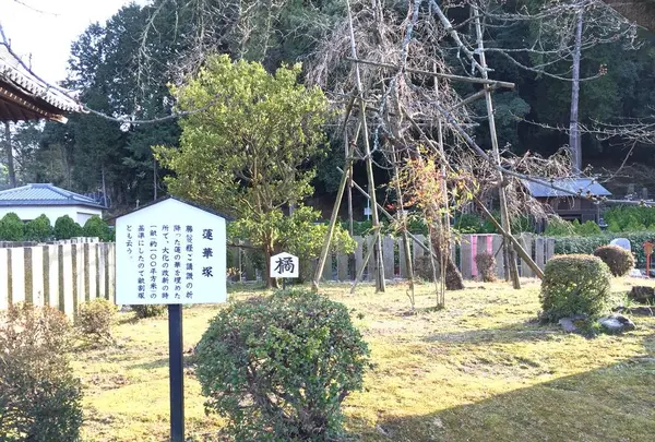 橘寺の写真・動画_image_309488