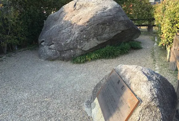 亀石の写真・動画_image_309491