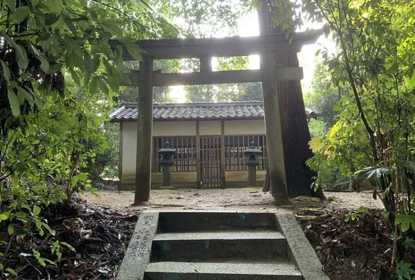 顕宗天皇近飛鳥八釣宮跡の写真・動画_image_309541