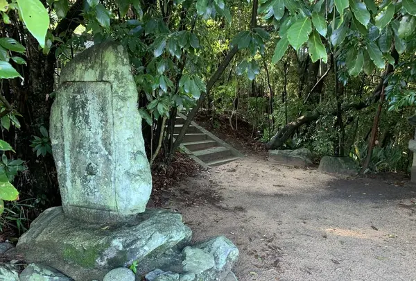顕宗天皇近飛鳥八釣宮跡の写真・動画_image_309542