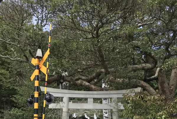 御霊神社の写真・動画_image_309652