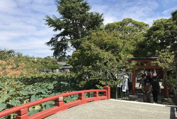 旗上弁財天社の写真・動画_image_309662