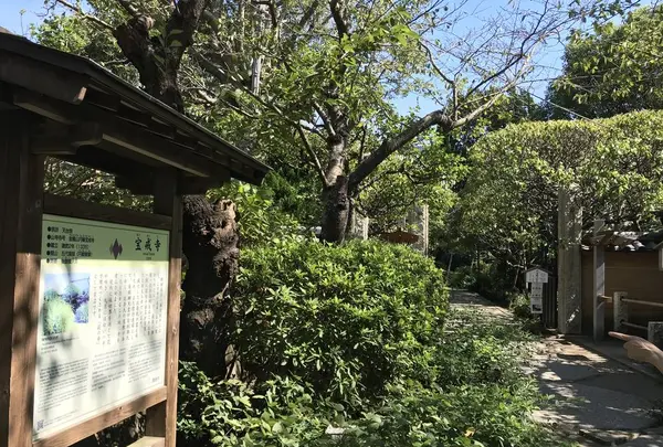 宝戒寺の写真・動画_image_309664