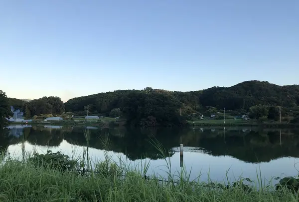 宣化天皇陵（鳥屋ミサンザイ古墳）の写真・動画_image_309851