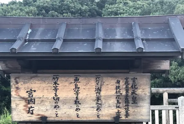宣化天皇陵（鳥屋ミサンザイ古墳）の写真・動画_image_309852