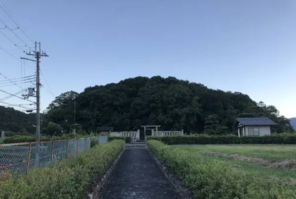 宣化天皇陵（鳥屋ミサンザイ古墳）の写真・動画_image_309854