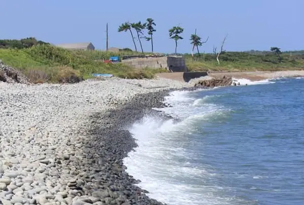 鳴り石の浜の写真・動画_image_309891