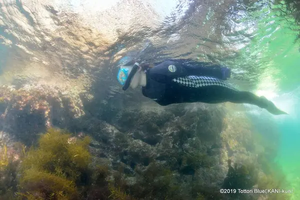 城原海岸の写真・動画_image_309897