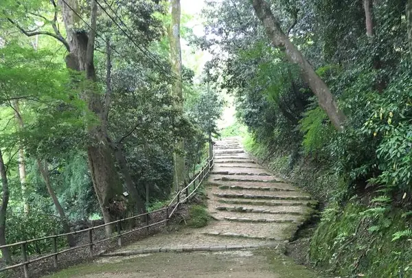 彦根城の写真・動画_image_309971