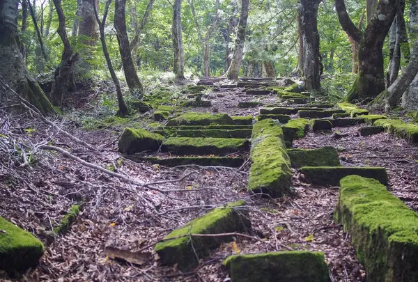 大山の写真・動画_image_310023