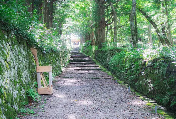 大山の写真・動画_image_310026