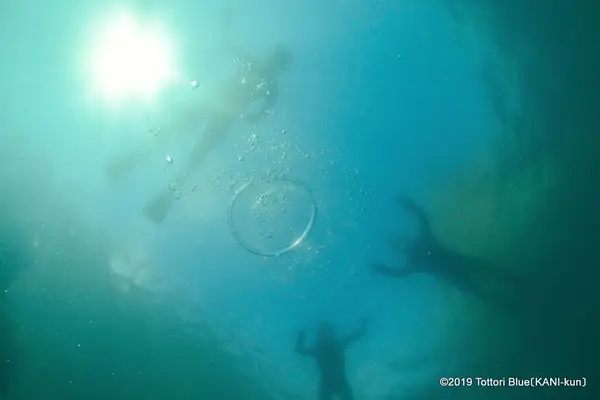 城原海岸の写真・動画_image_310055