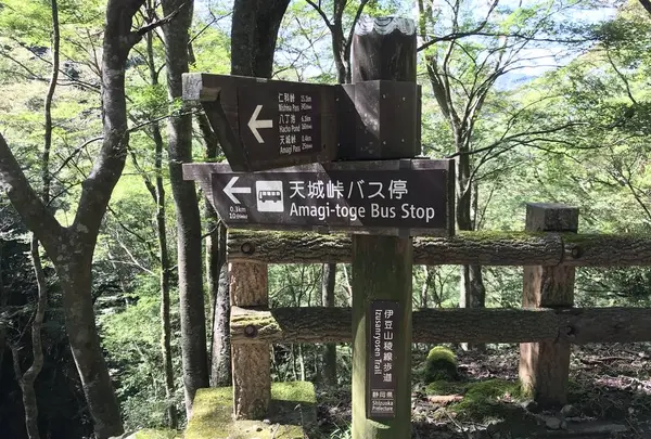 旧天城トンネルの写真・動画_image_310130