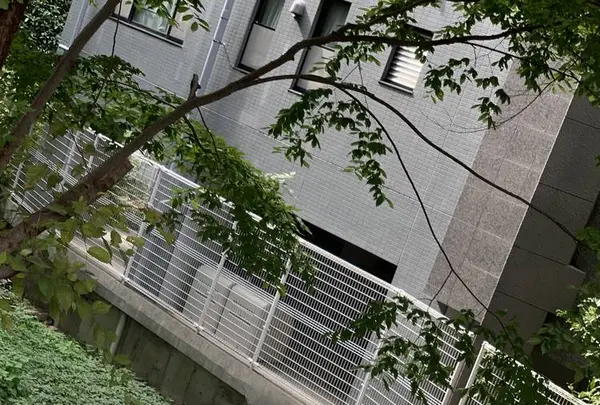 伝・沖田総司終焉の地の写真・動画_image_310243