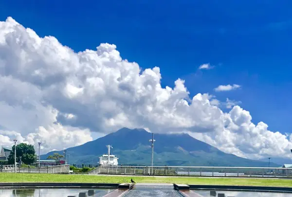 桜島の写真・動画_image_310299