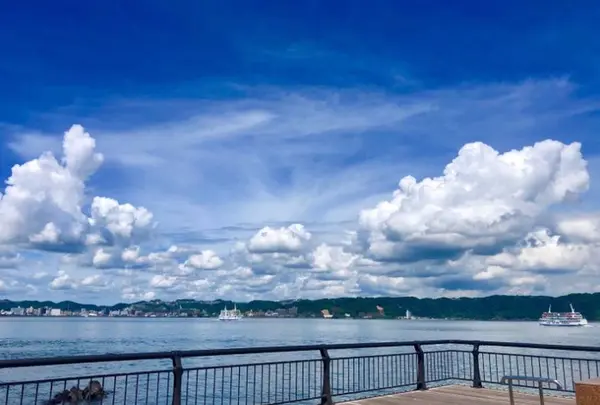 桜島溶岩なぎさ公園＆足湯の写真・動画_image_310301