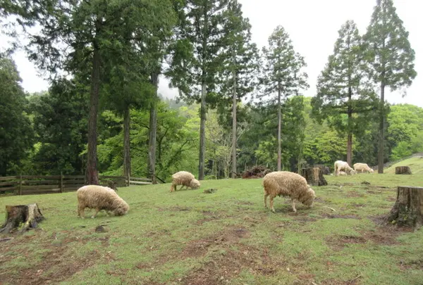 兵庫県立但馬牧場公園の写真・動画_image_310707