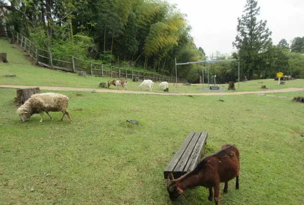 兵庫県立但馬牧場公園の写真・動画_image_310708