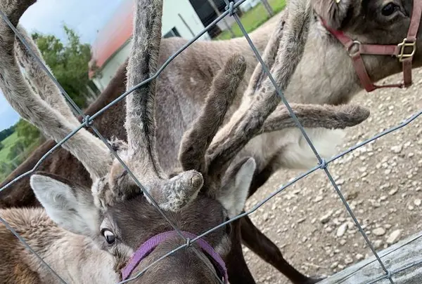 稚内市の写真・動画_image_310737