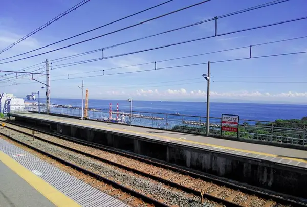 神戸市立須磨離宮公園の写真・動画_image_310757