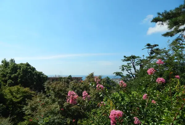 神戸市立須磨離宮公園の写真・動画_image_310768