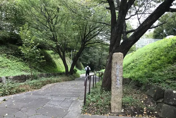 陣ケ下渓谷公園の写真・動画_image_310848