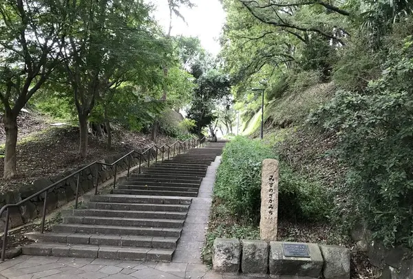 陣ケ下渓谷公園の写真・動画_image_310849