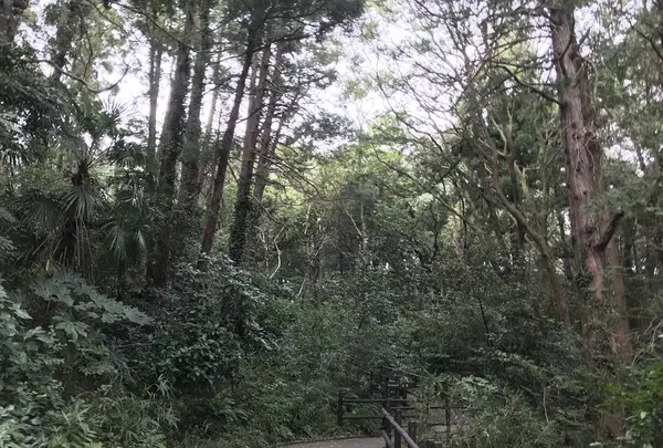 陣ケ下渓谷公園の写真・動画_image_310877