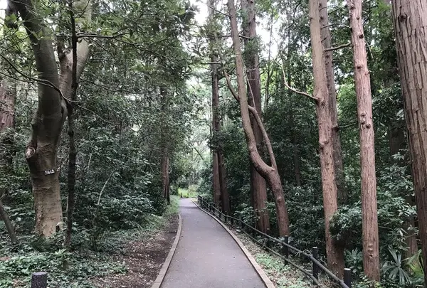 陣ケ下渓谷公園の写真・動画_image_310879