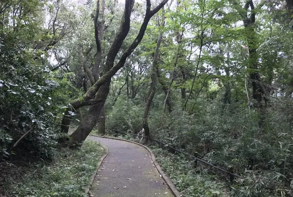 陣ケ下渓谷公園の写真・動画_image_310880