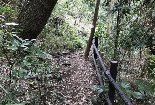 陣ケ下渓谷公園の写真・動画_image_310882