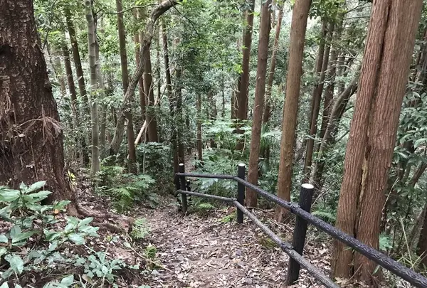 陣ケ下渓谷公園の写真・動画_image_310883