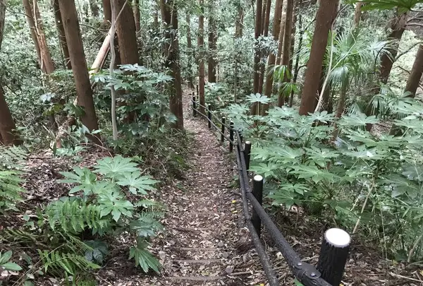 陣ケ下渓谷公園の写真・動画_image_310884