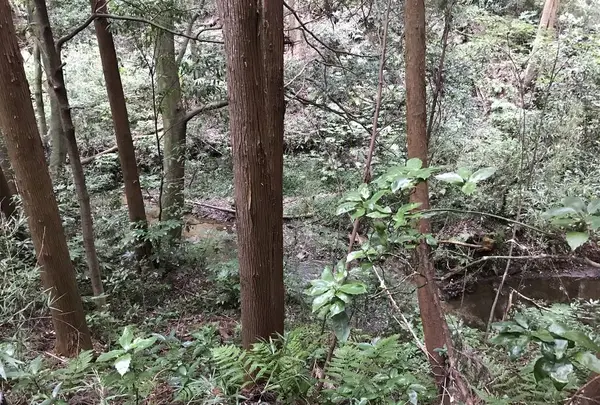 陣ケ下渓谷公園の写真・動画_image_310885