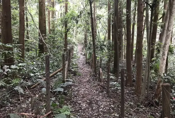 陣ケ下渓谷公園の写真・動画_image_310887