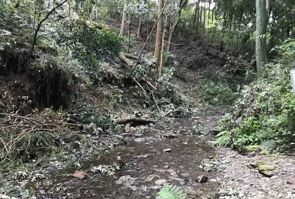 陣ケ下渓谷公園の写真・動画_image_310888