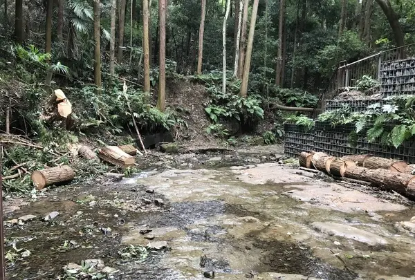 陣ケ下渓谷公園の写真・動画_image_310889