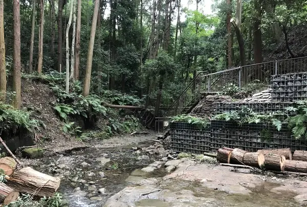 陣ケ下渓谷公園の写真・動画_image_310890