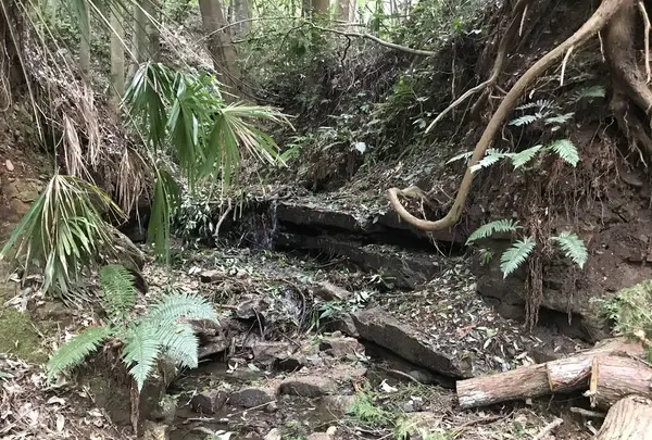 陣ケ下渓谷公園の写真・動画_image_310892