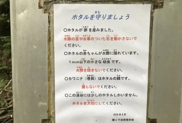 陣ケ下渓谷公園の写真・動画_image_310894