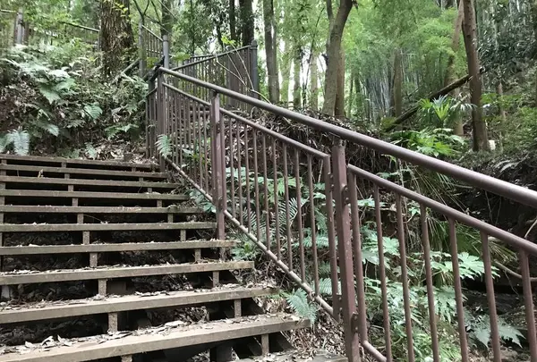 陣ケ下渓谷公園の写真・動画_image_310896