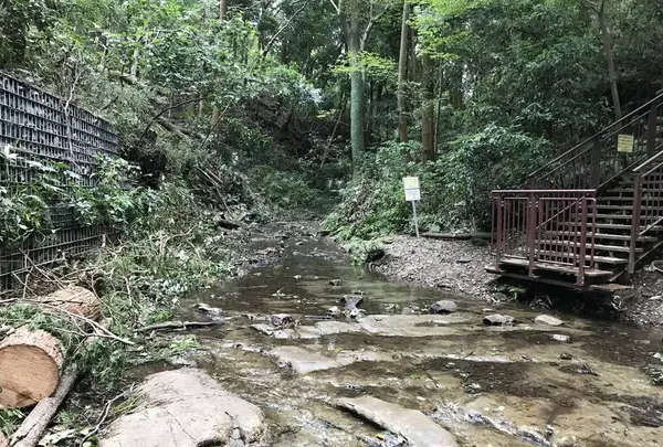 陣ケ下渓谷公園の写真・動画_image_310898