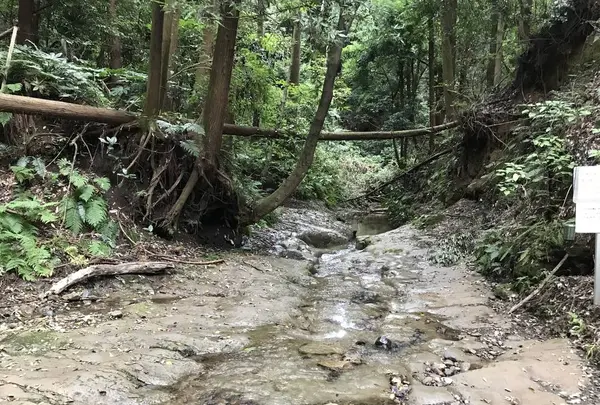 陣ケ下渓谷公園の写真・動画_image_310899