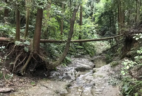 陣ケ下渓谷公園の写真・動画_image_310900