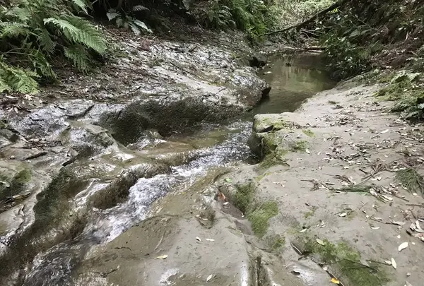 陣ケ下渓谷公園の写真・動画_image_310901