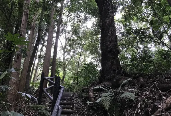 陣ケ下渓谷公園の写真・動画_image_310902