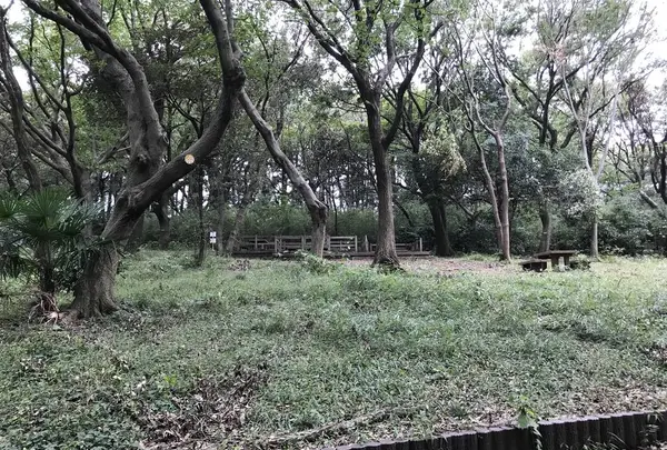 陣ケ下渓谷公園の写真・動画_image_310993