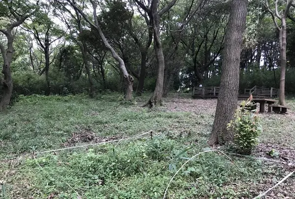 陣ケ下渓谷公園の写真・動画_image_310994
