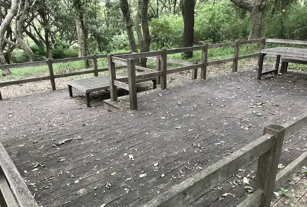 陣ケ下渓谷公園の写真・動画_image_311003