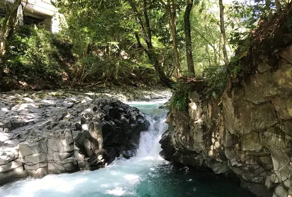 河津七滝の写真・動画_image_311013